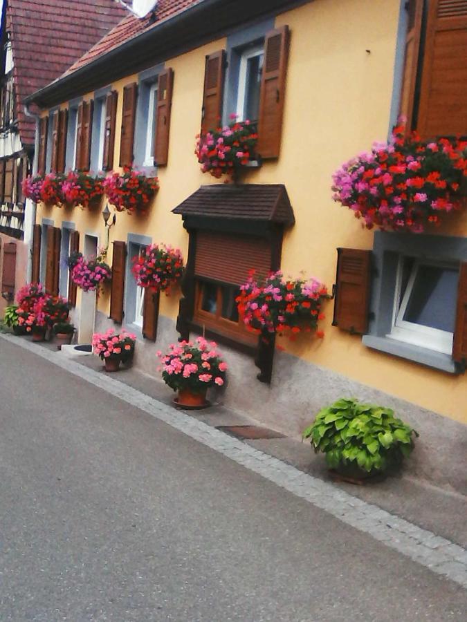 Relais De La Diligence Apartment Romanswiller Екстериор снимка